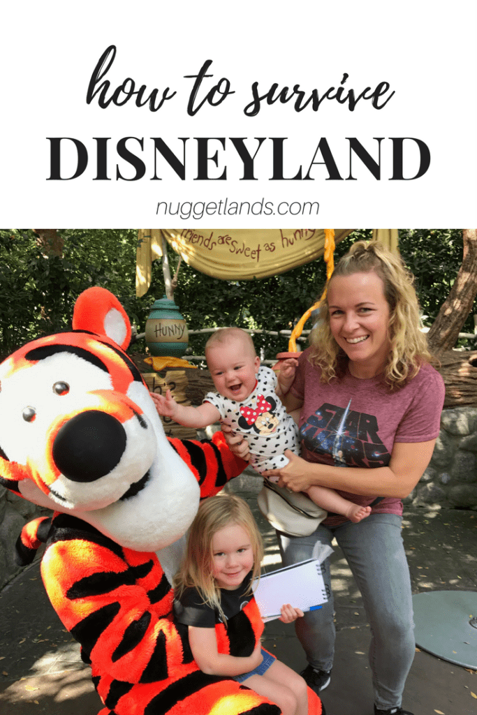 Disneyland Trip Recap
