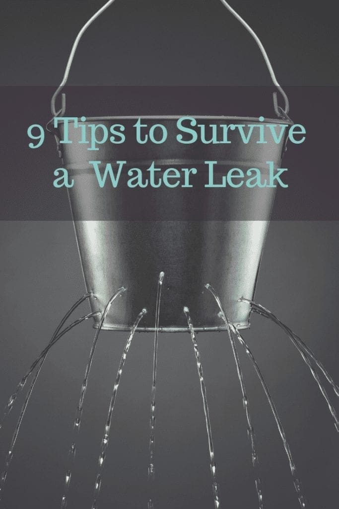 9 Tips to Survive a Water Leak in Your Home