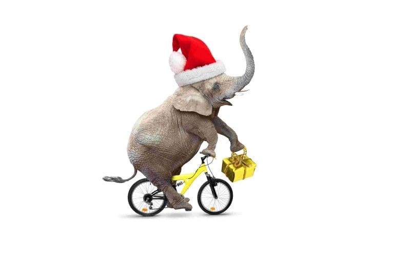 White Elephant Gifts Under $50 (That People Actually Want to Steal)